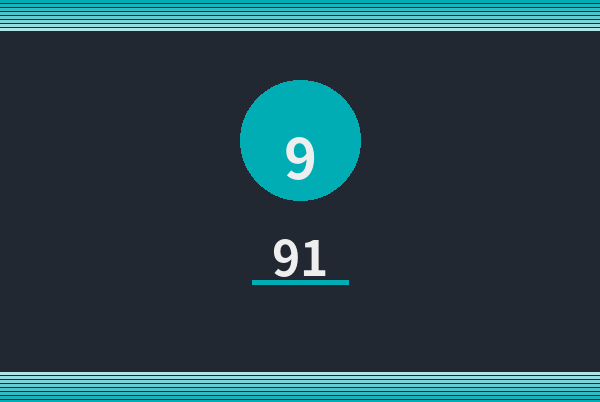 91Logo